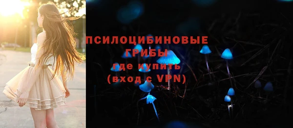 эйфоретик Новозыбков