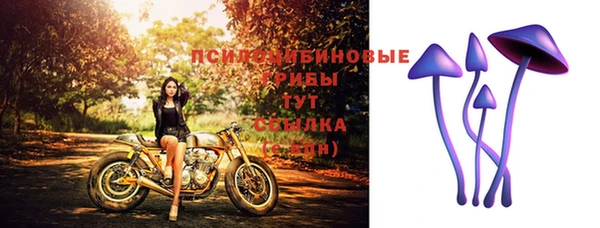 гидропоника Балахна